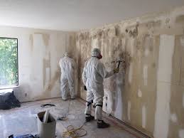 Best Mold Odor Removal Services  in Christiana, TN